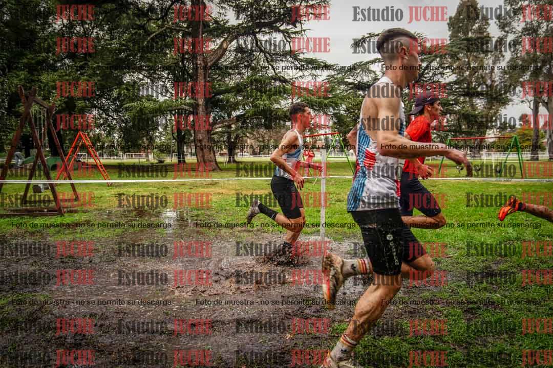 Fotos en el circuito