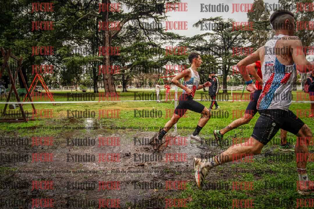 Fotos en el circuito