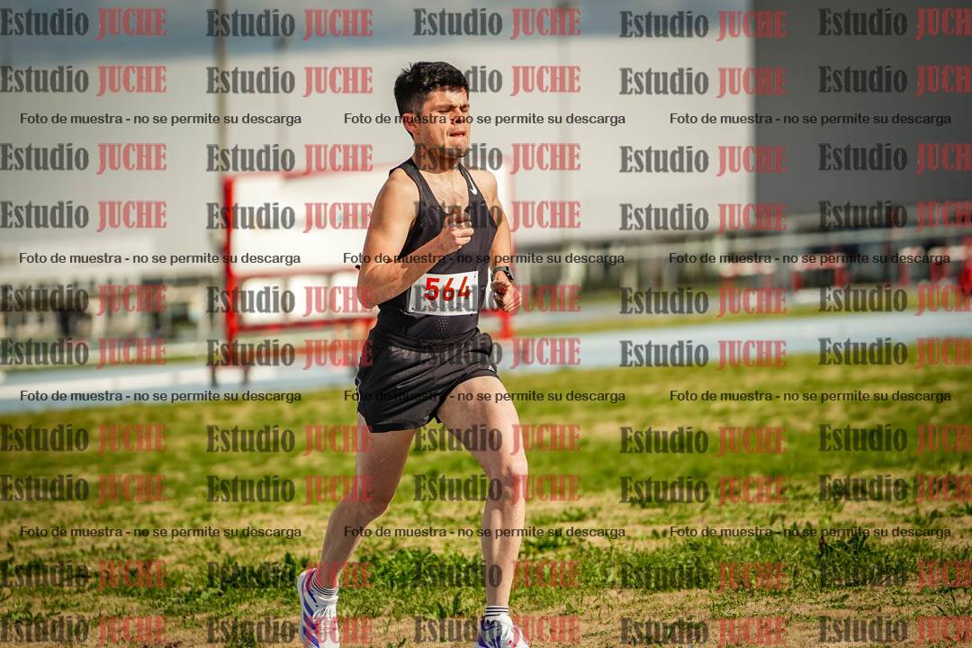 Fotos de los 5000 m llanos de varones