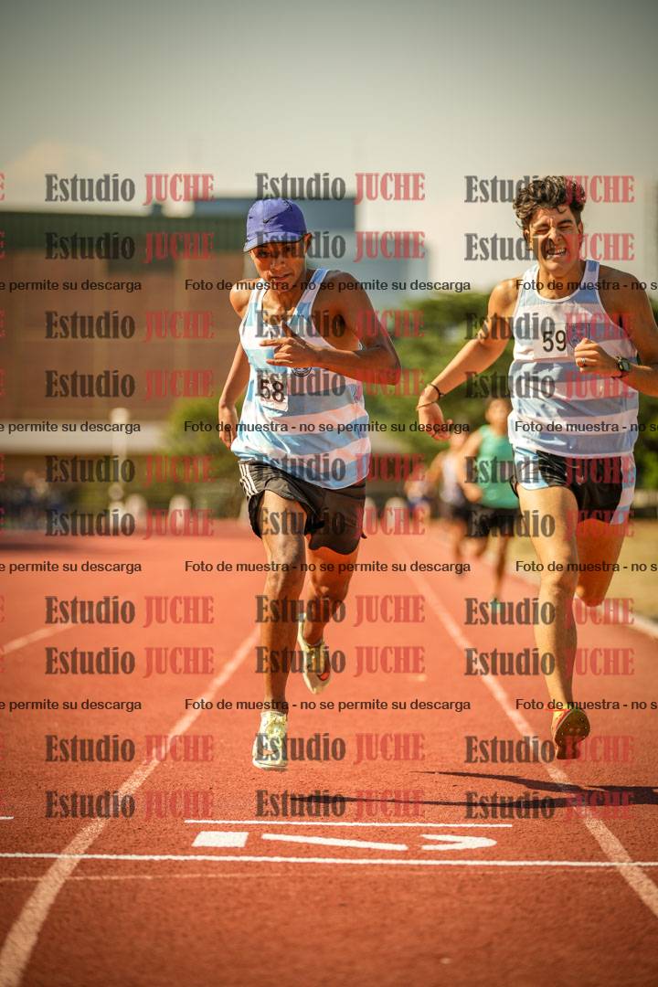 Fotos de los 800 m llanos de varones