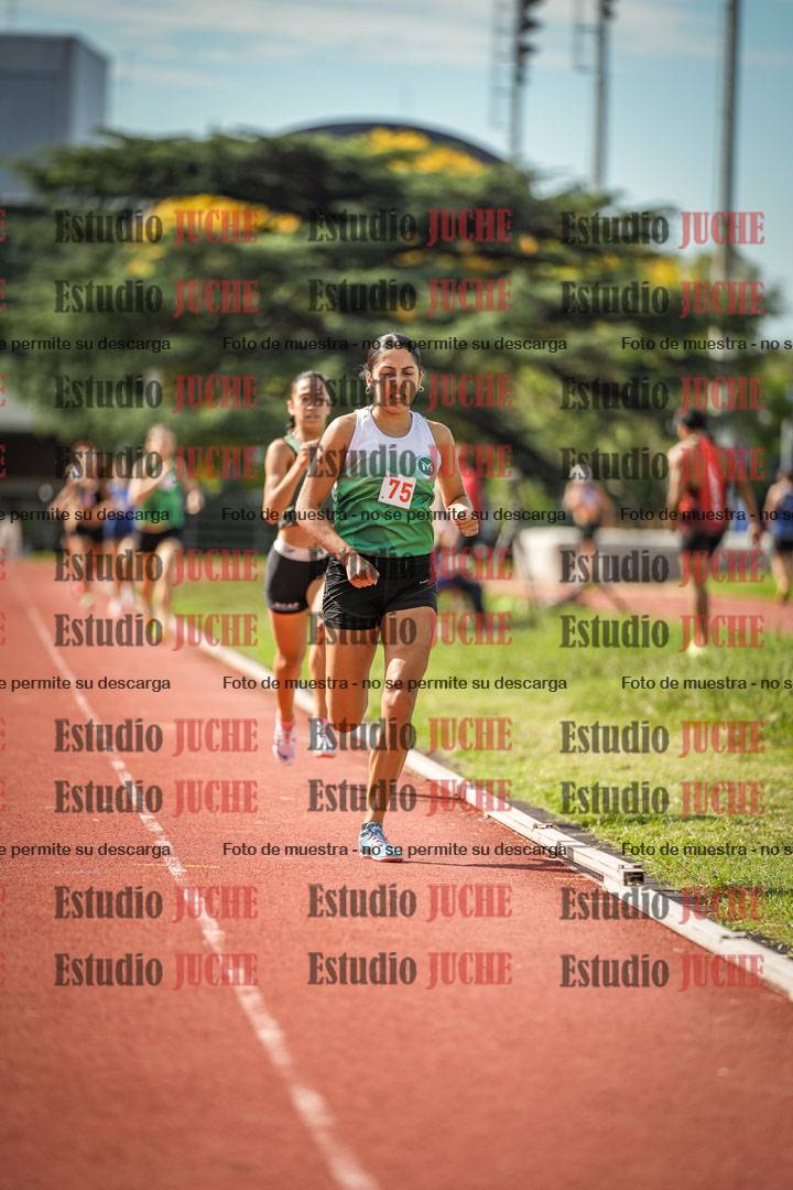 Fotos de los 800 m llanos de mujeres