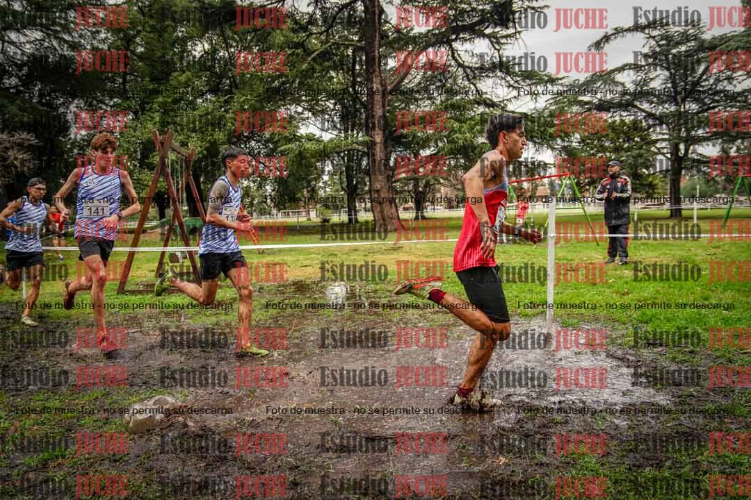 Fotos en el circuito