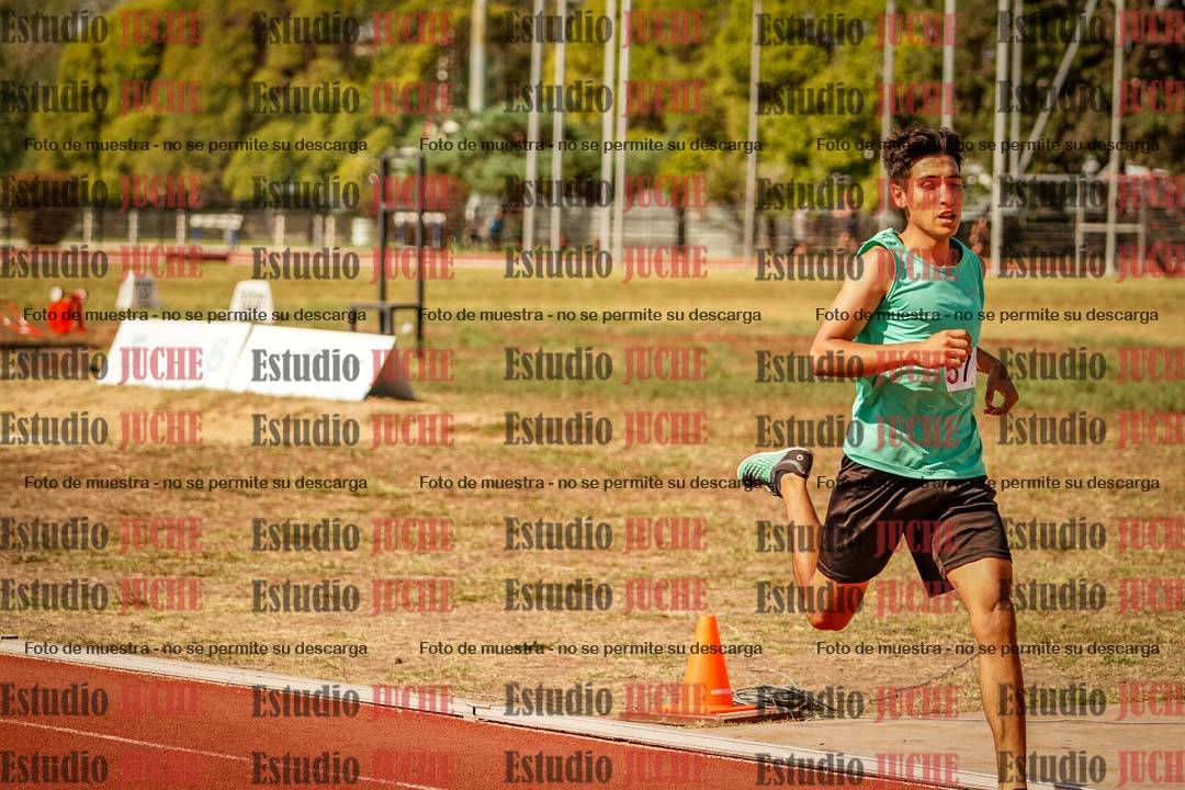 Fotos de los 800 m llanos de varones
