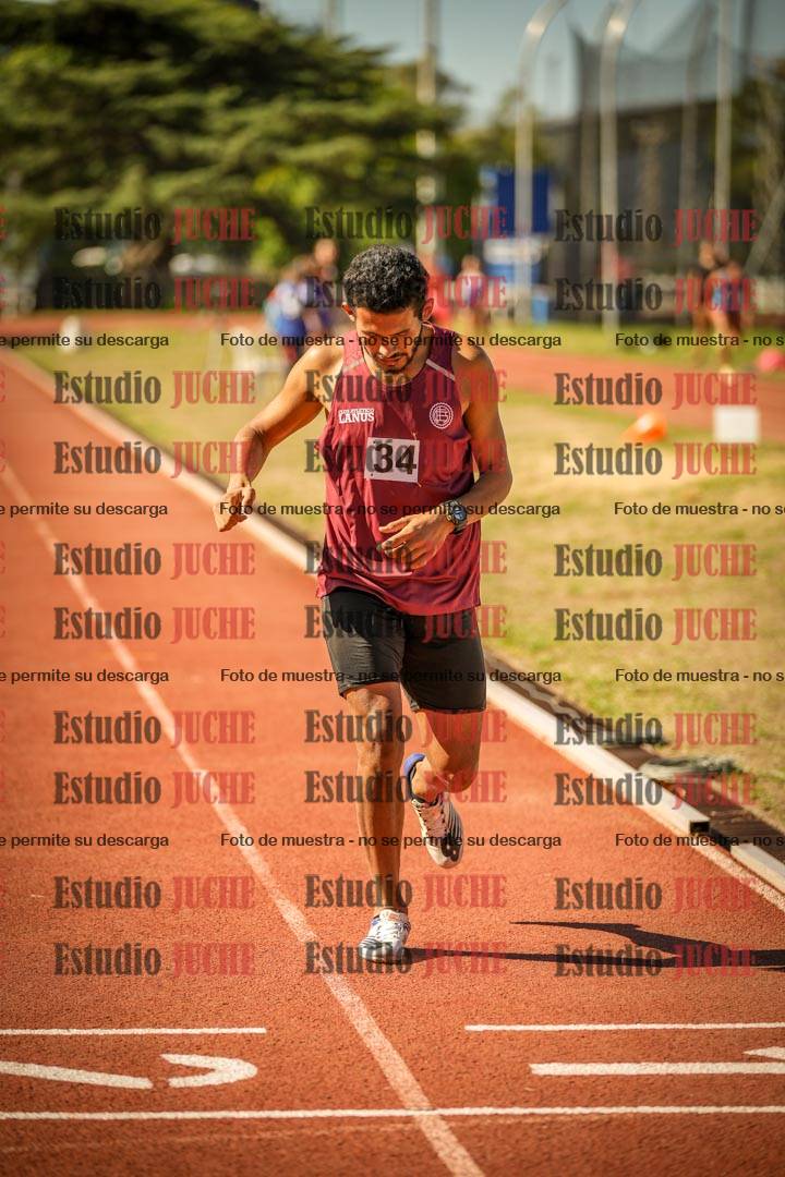 Fotos de los 800 m llanos de varones