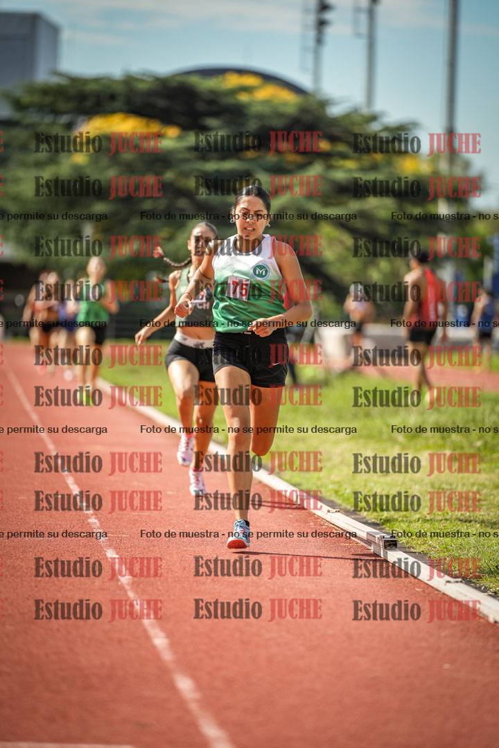 Fotos de los 800 m llanos de mujeres