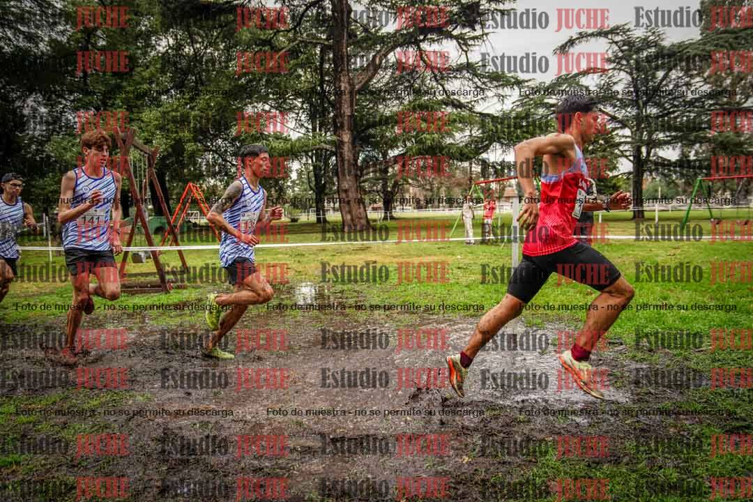 Fotos en el circuito