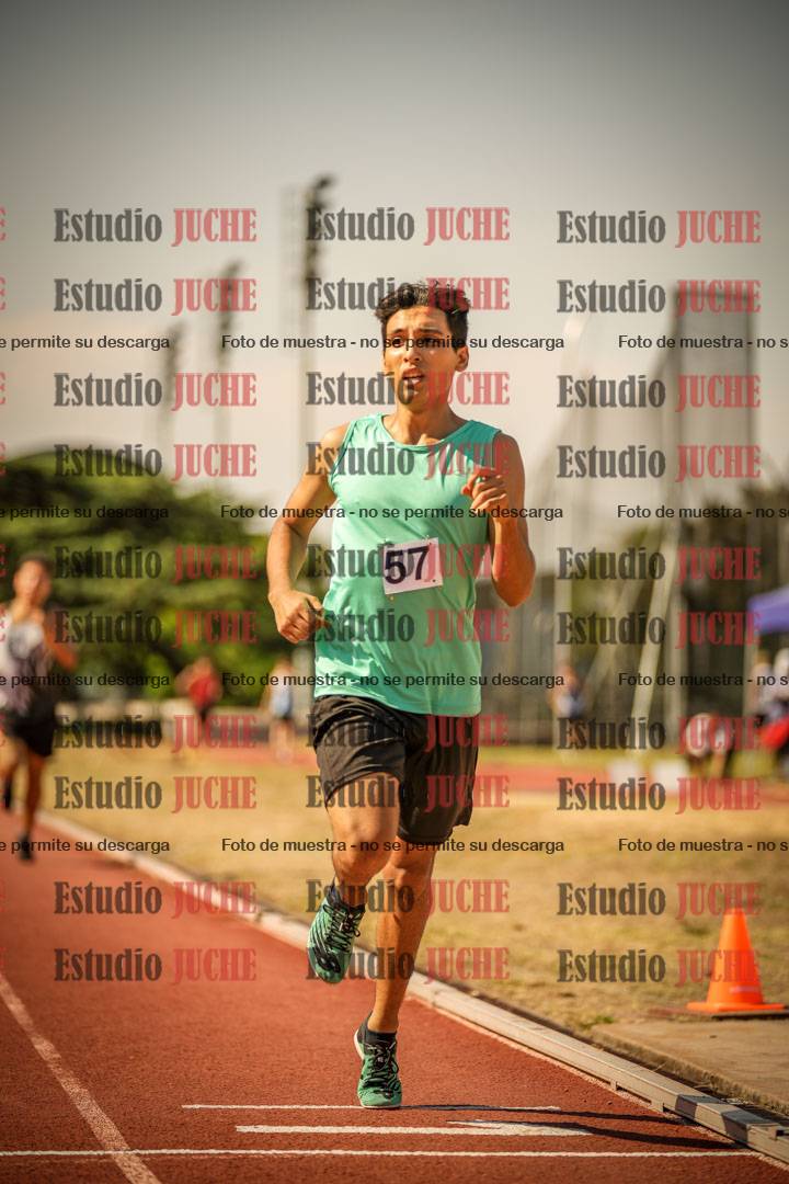 Fotos de los 800 m llanos de varones