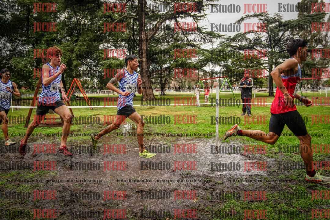 Fotos en el circuito