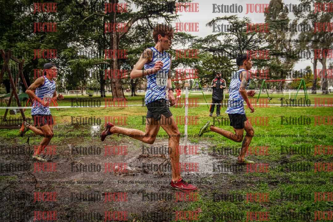 Fotos en el circuito