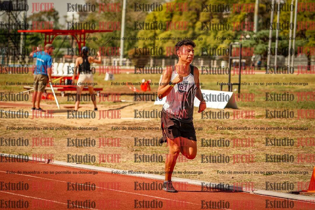 Fotos de los 800 m llanos de varones