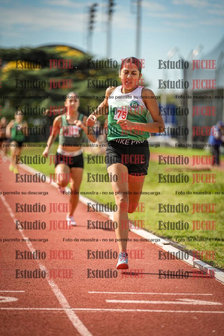 Fotos de los 800 m llanos de mujeres