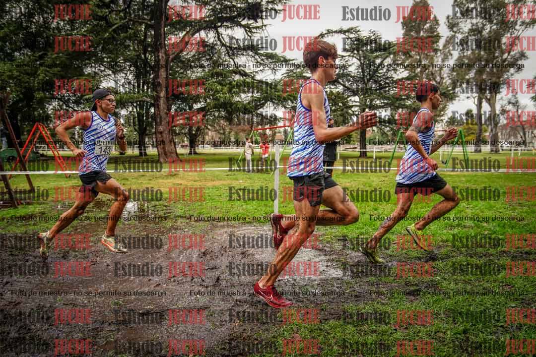 Fotos en el circuito