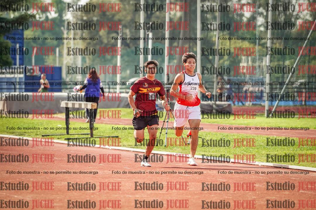 Fotos de los 800 m llanos de varones