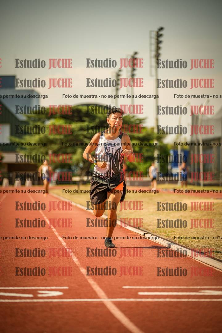 Fotos de los 800 m llanos de varones