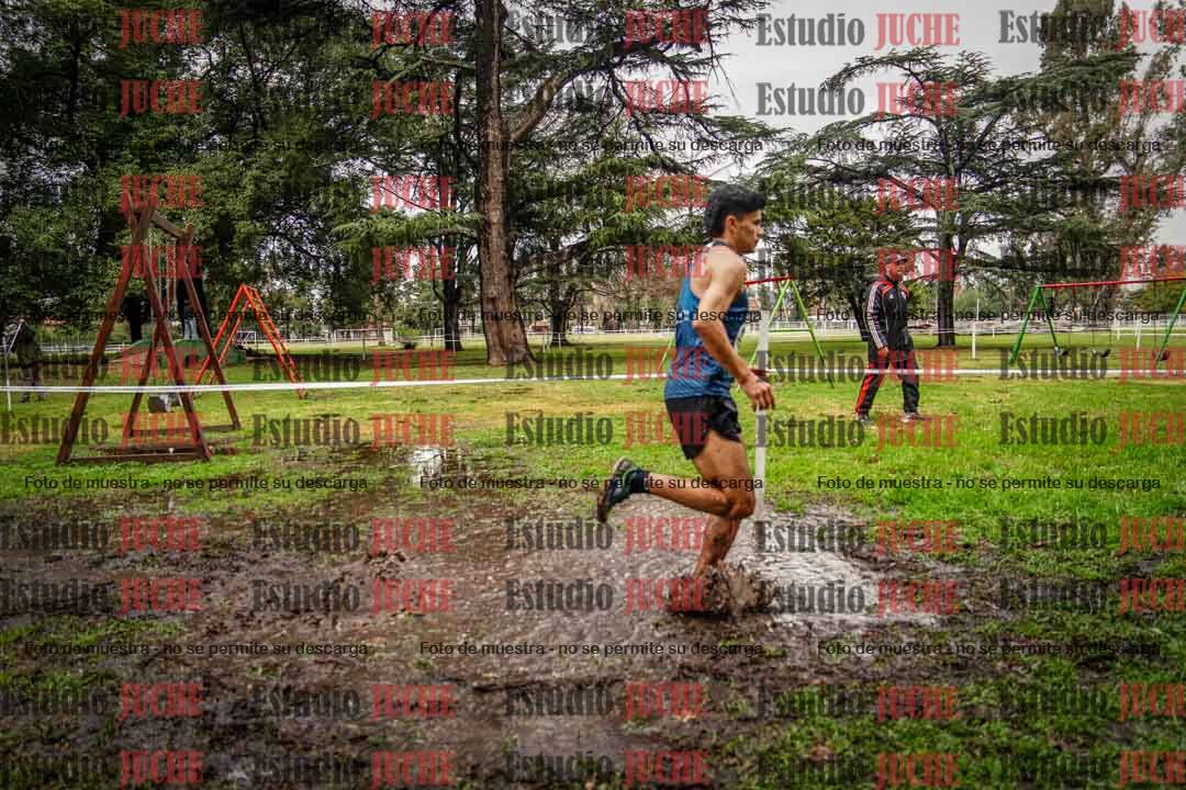 Fotos en el circuito