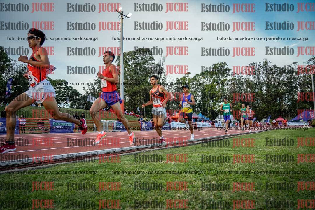 Fotos de los 10.000 m llanos de varones