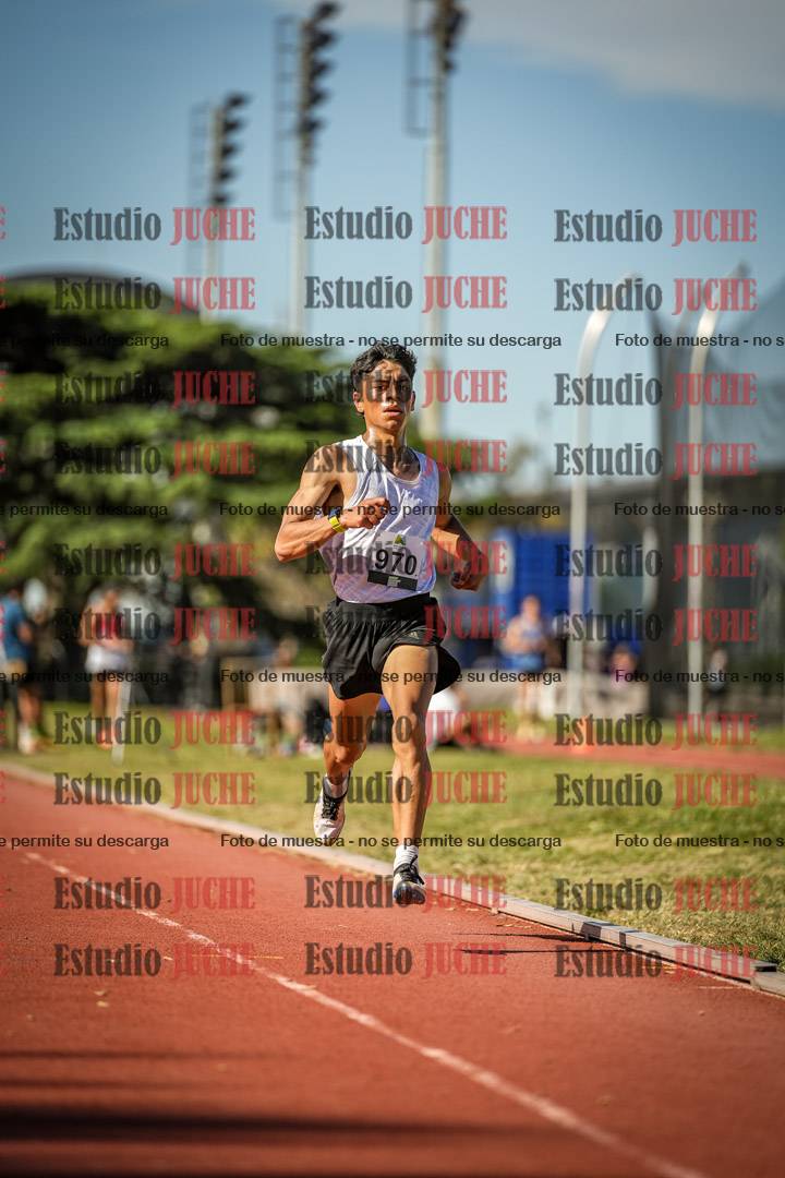 Fotos de los 5000 m llanos de varones
