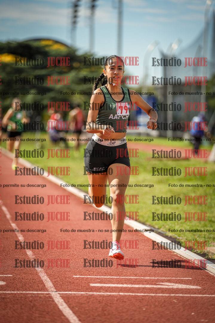 Fotos de los 800 m llanos de mujeres