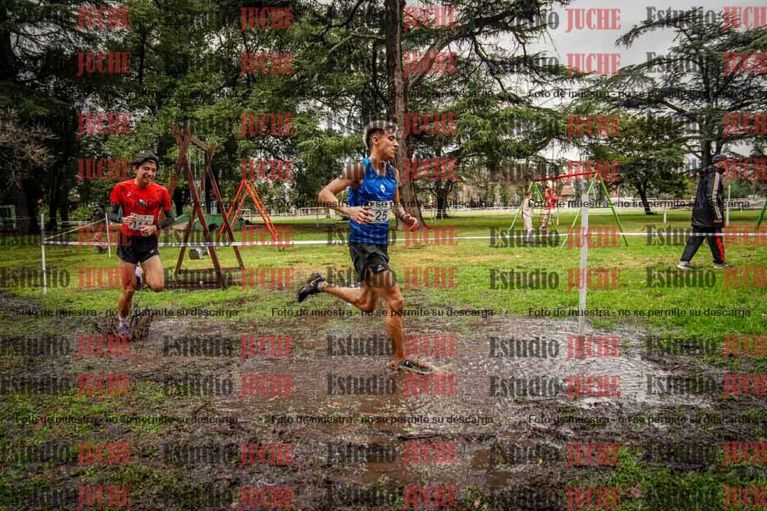 Fotos en el circuito