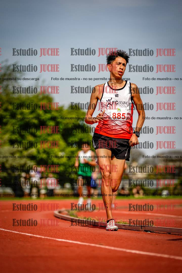Fotos de los 3000 m llanos de varones