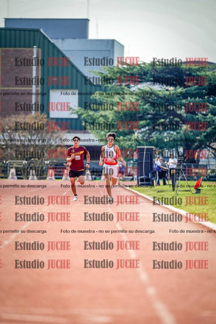 Fotos de los 800 m llanos de varones