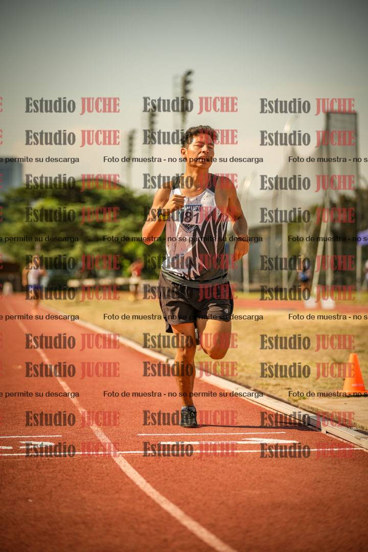 Fotos de los 800 m llanos de varones