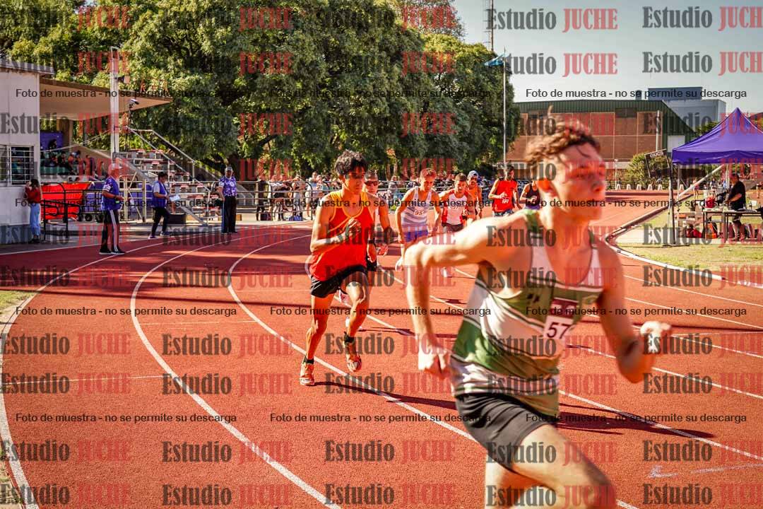 Fotos de los 800 m llanos de varones