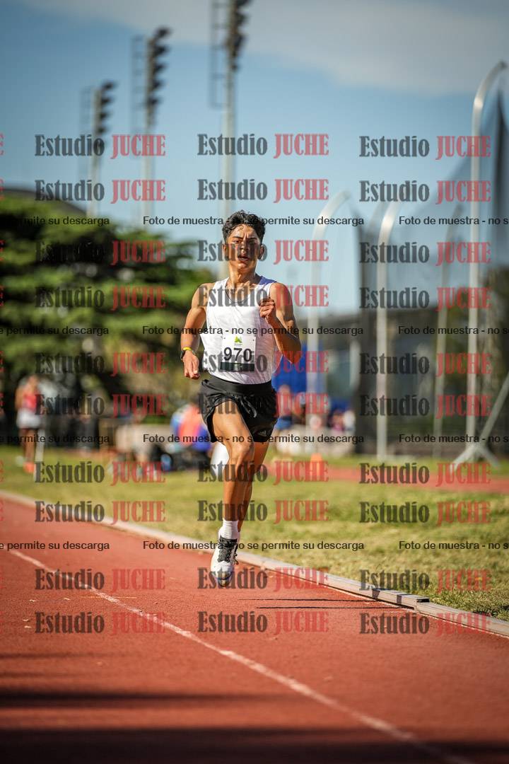 Fotos de los 5000 m llanos de varones
