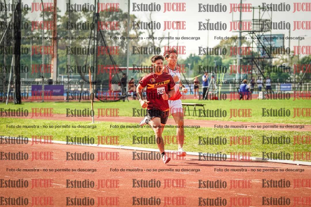 Fotos de los 800 m llanos de varones