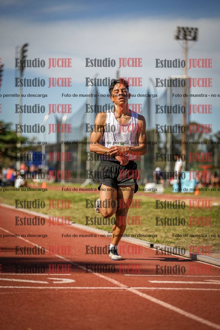 Fotos de los 5000 m llanos de varones