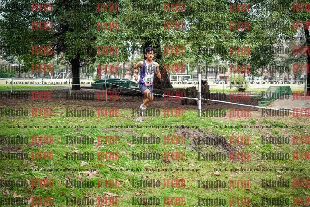 Fotos en el circuito