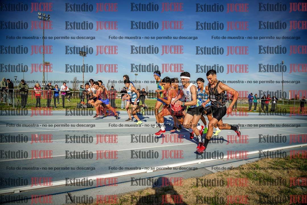Fotos de los 1500 m llanos de varones