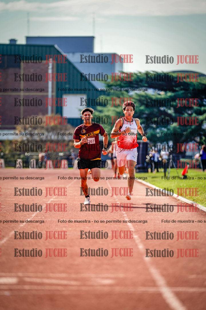 Fotos de los 800 m llanos de varones