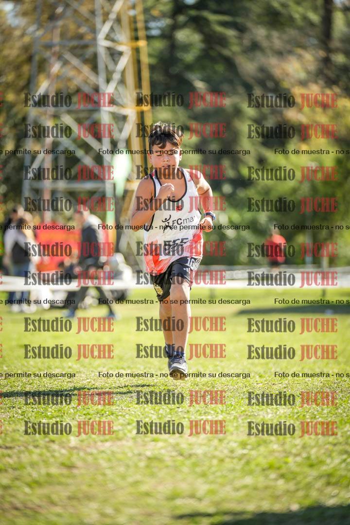 Fotos de la llegada del cross de 1000 m