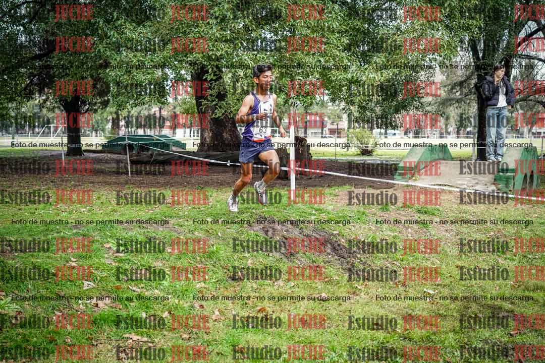 Fotos en el circuito