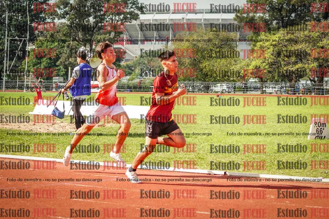 Fotos de los 800 m llanos de varones