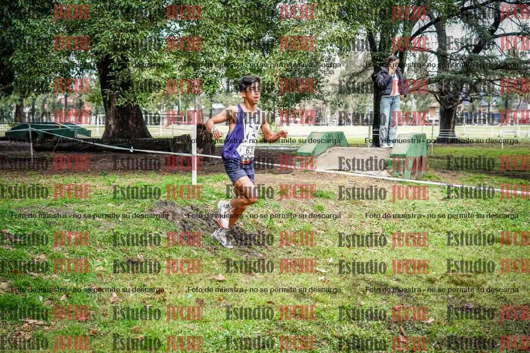 Fotos en el circuito