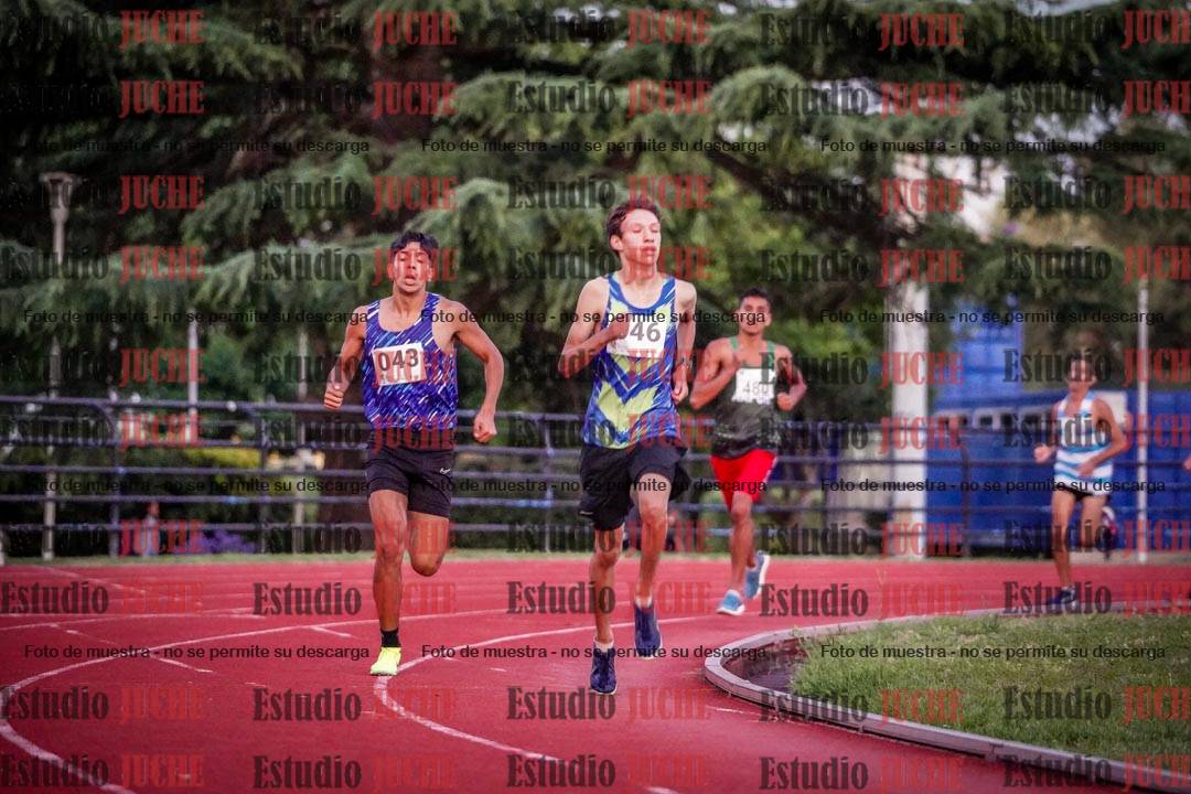 Fotos de los 1500 m llanos de varones