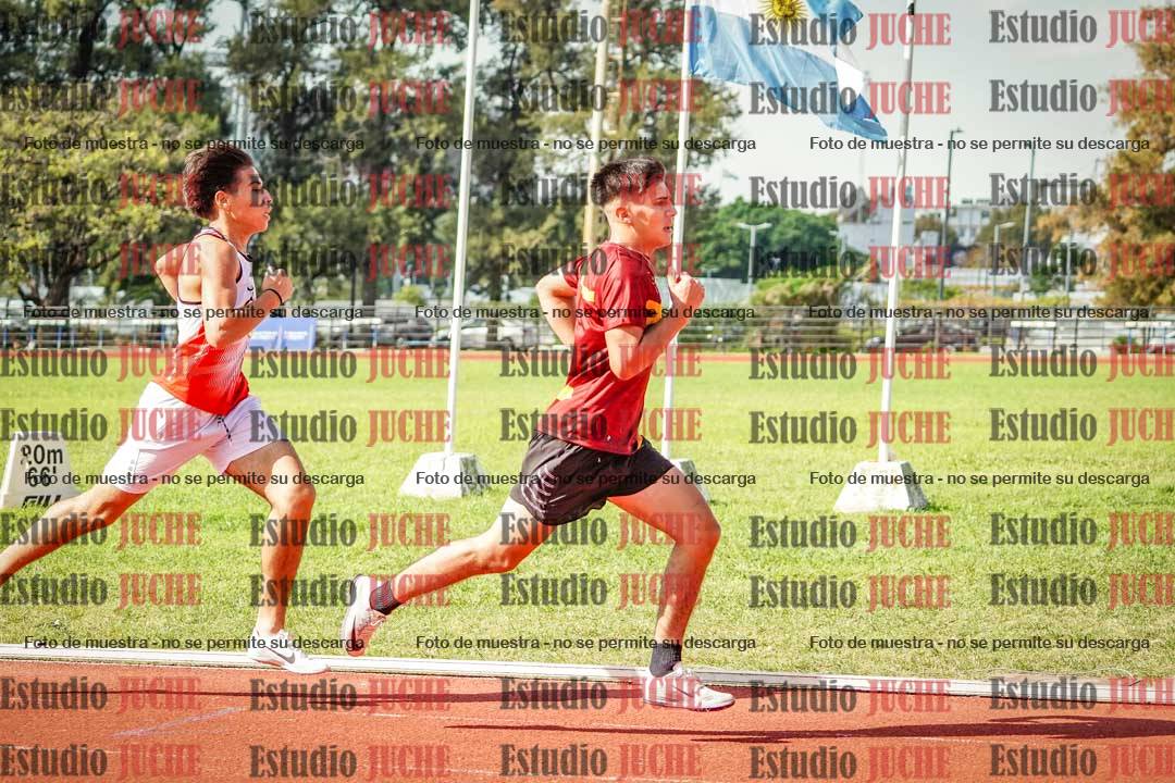Fotos de los 800 m llanos de varones