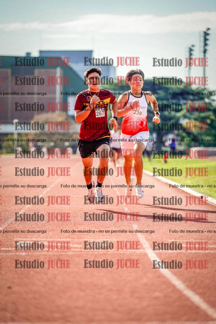 Fotos de los 800 m llanos de varones