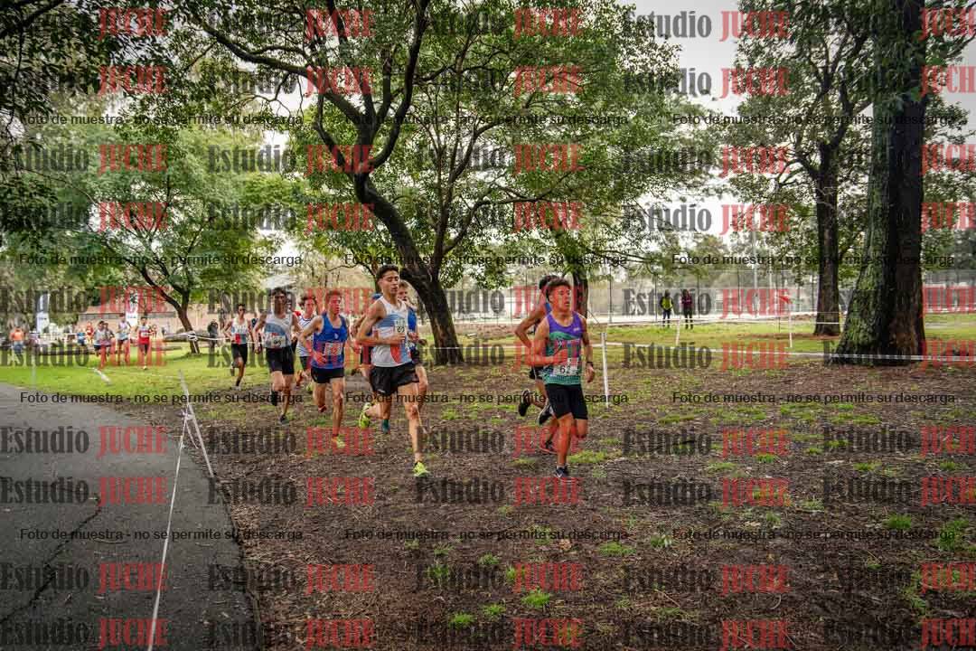 Fotos en el circuito