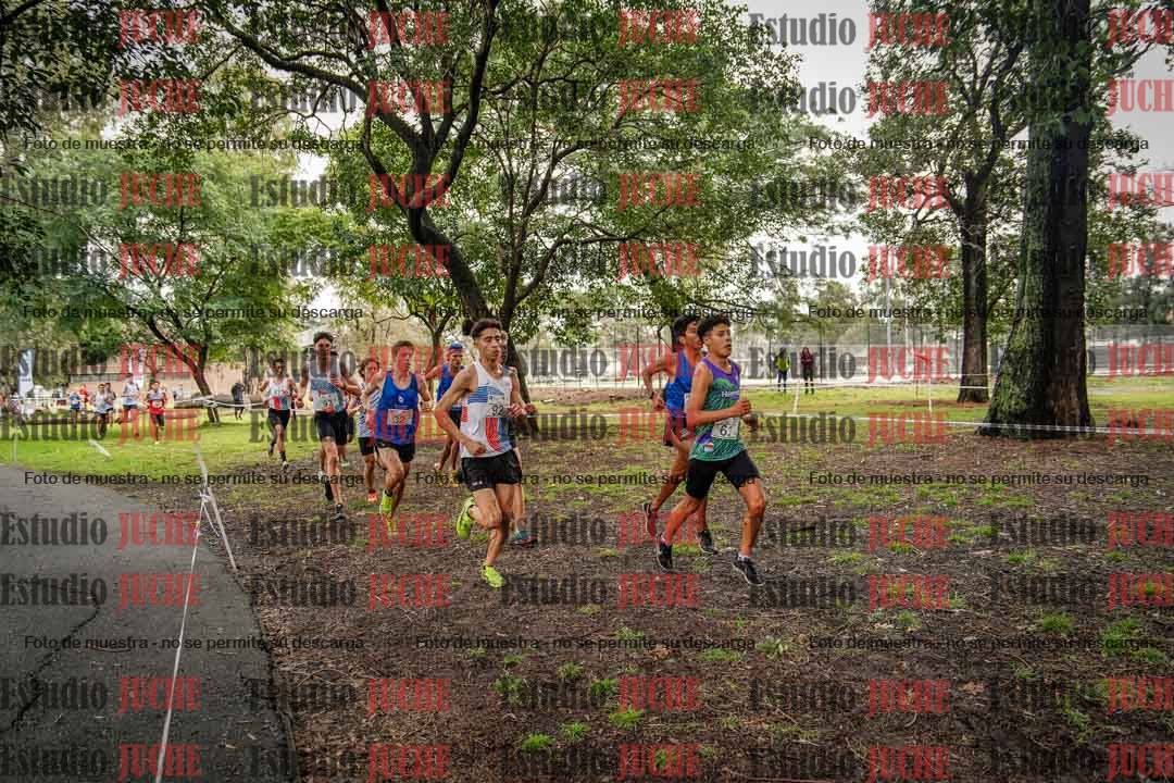 Fotos en el circuito