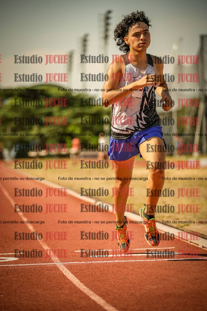 Fotos de los 800 m llanos de varones