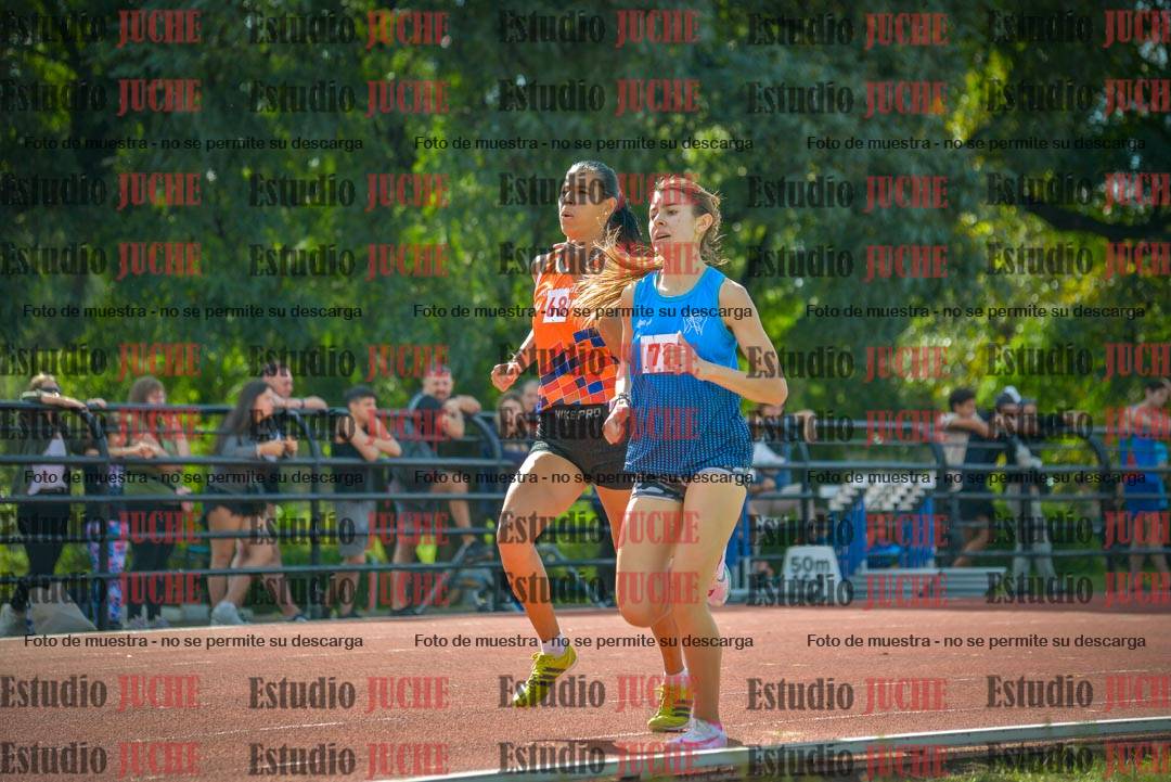 Fotos de los 800 m llanos de mujeres