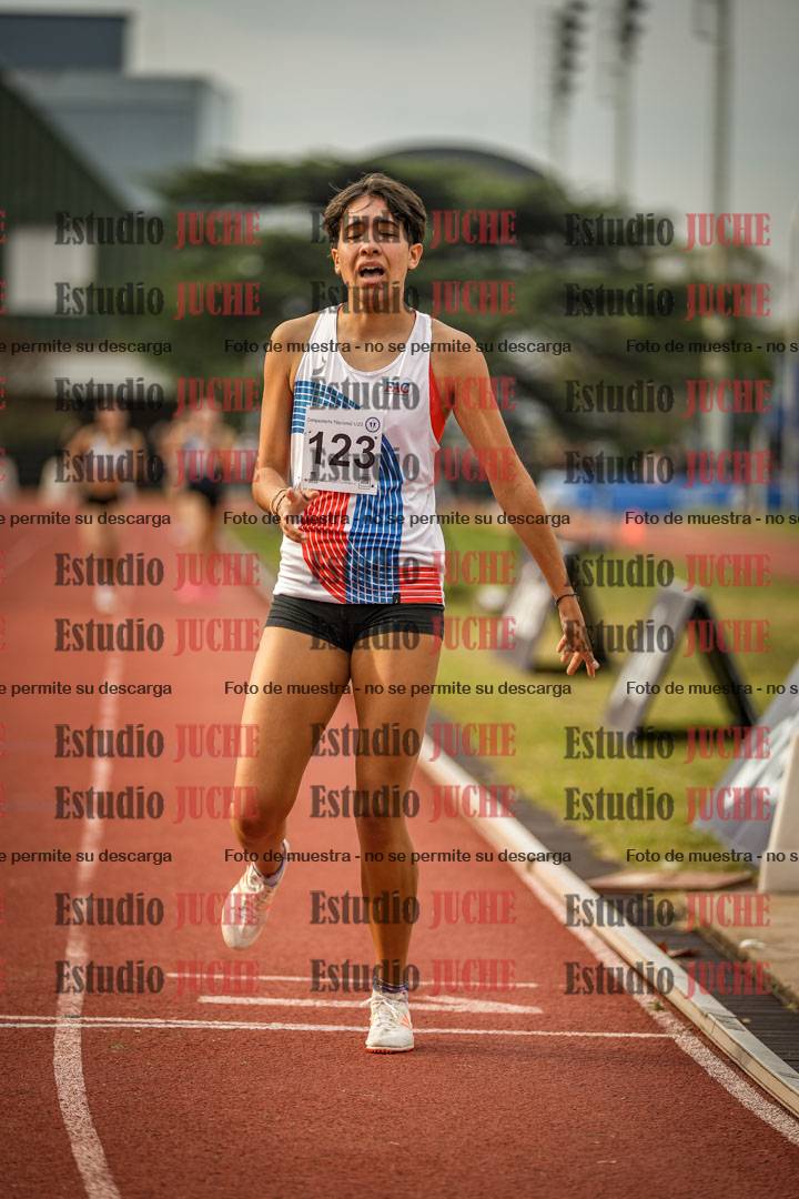 Fotos de los 1500 m llanos de mujeres
