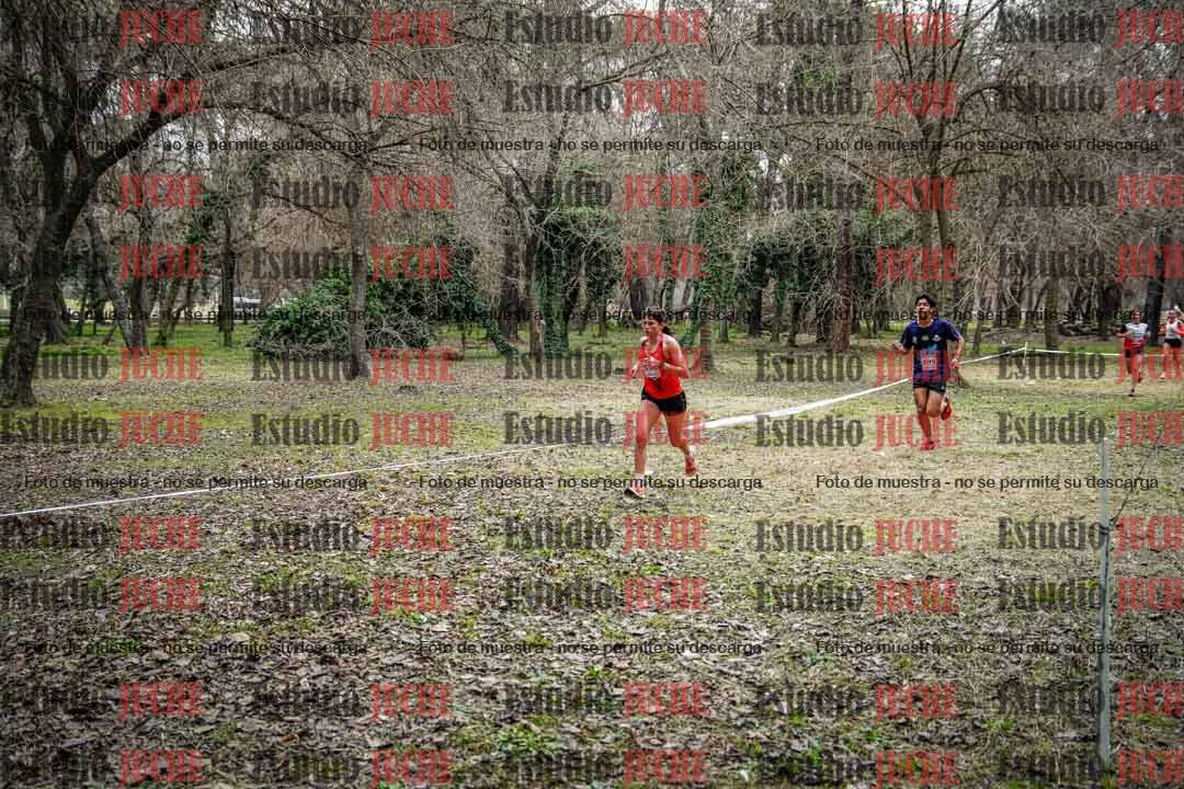 Fotos en el circuito