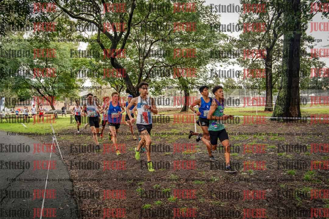 Fotos en el circuito