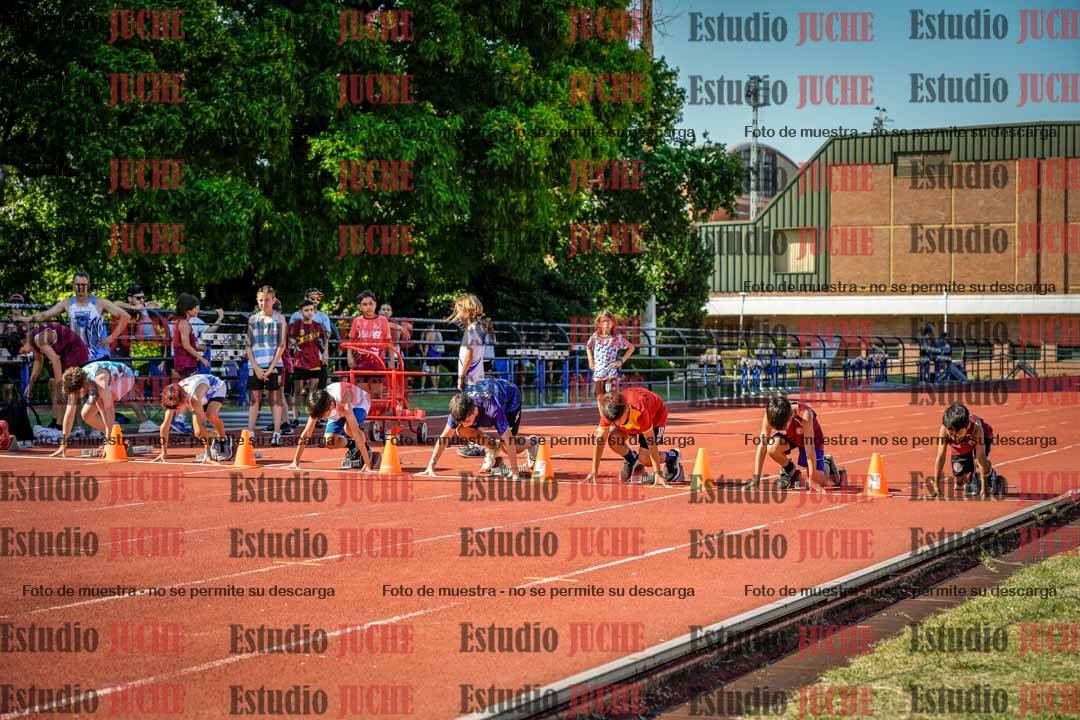 Fotos de los 50 m llanos de varones