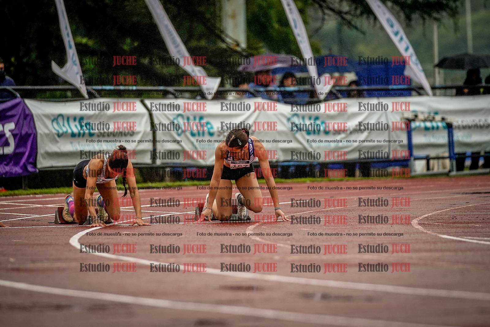 Fotos de los 100 m llanos de mujeres - FINAL