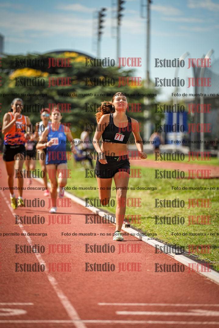 Fotos de los 800 m llanos de mujeres